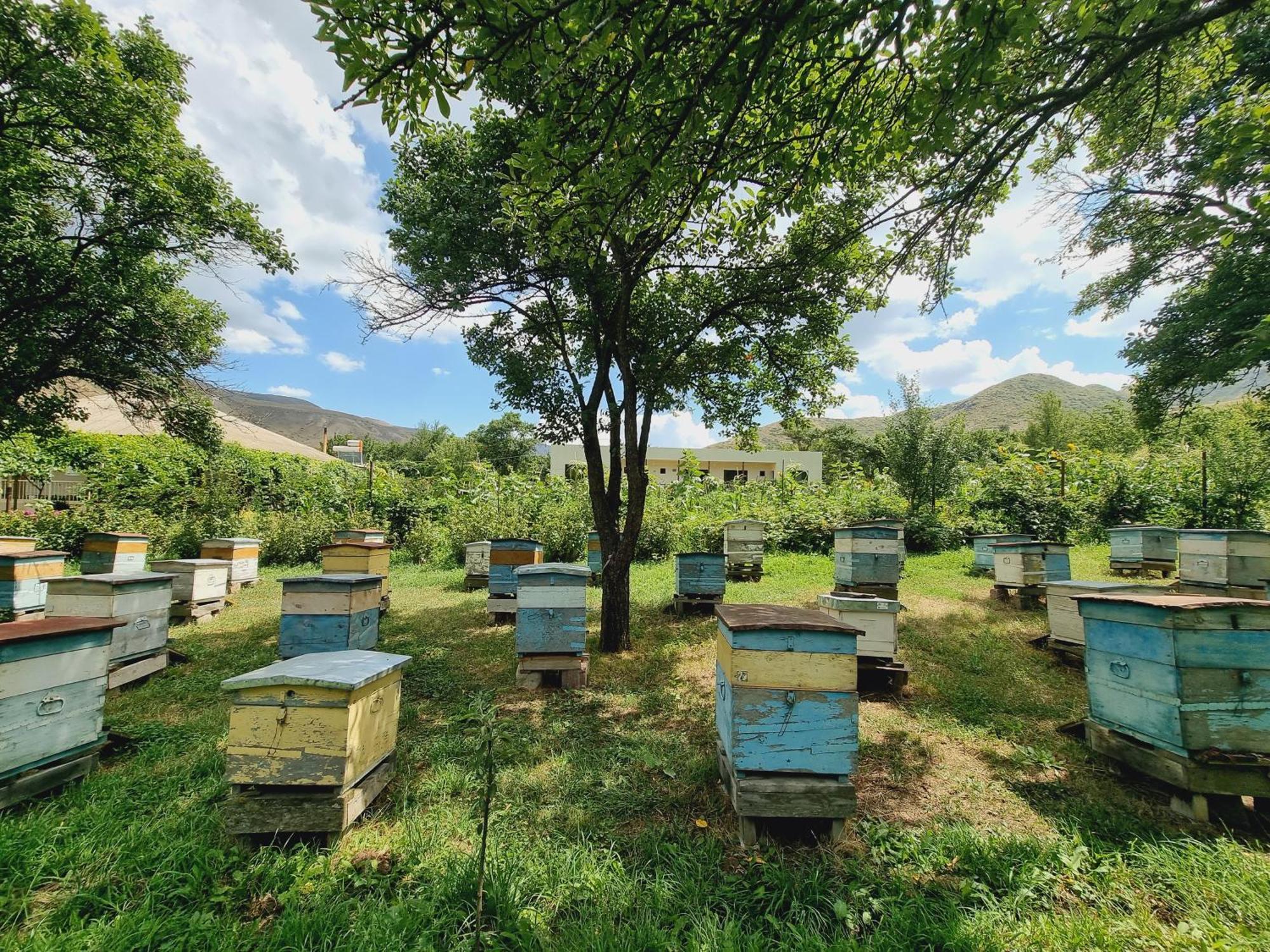 Bee House Hotel Pia Eksteriør billede